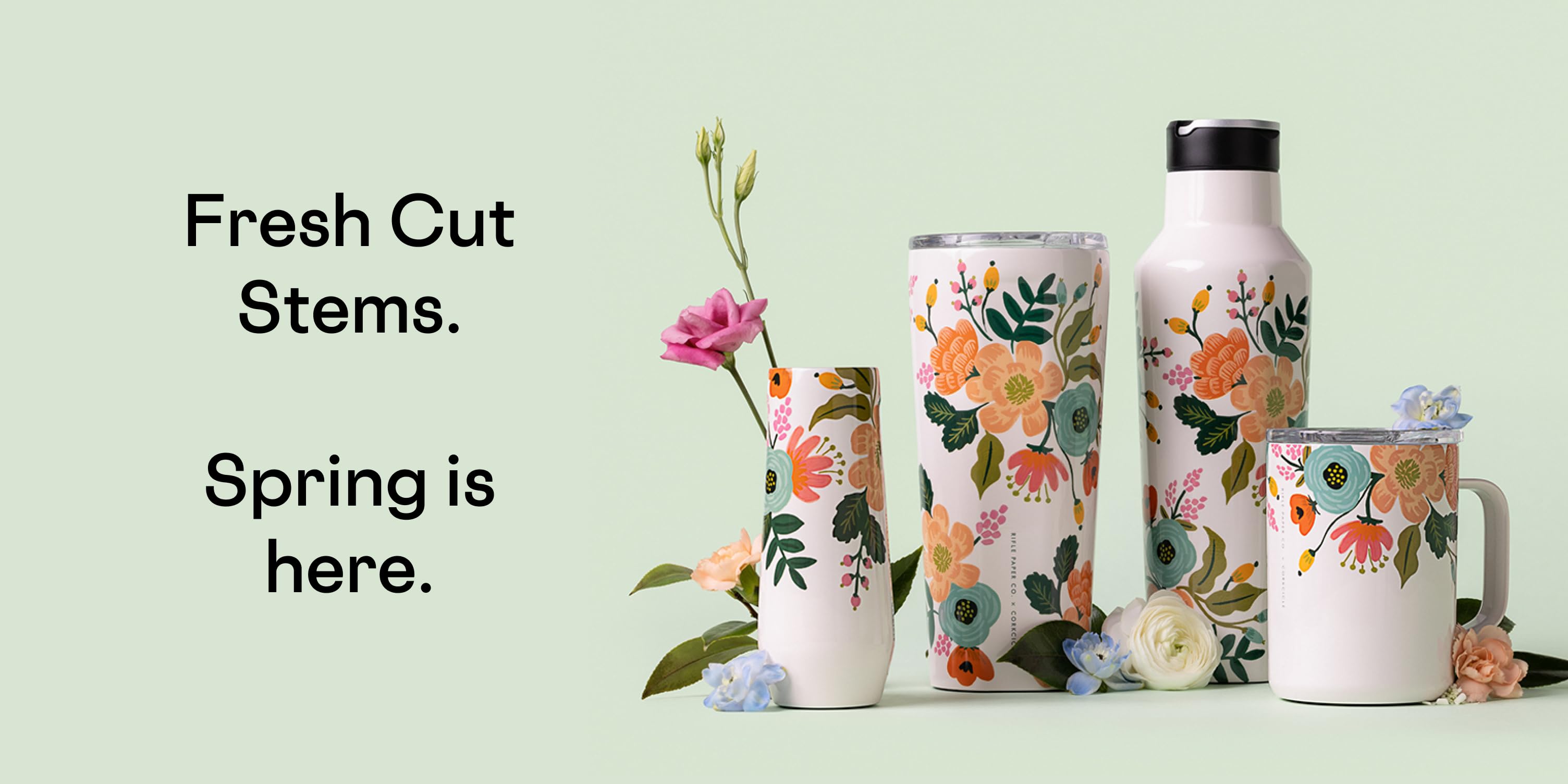 Elevated Hydration for Every Sip
